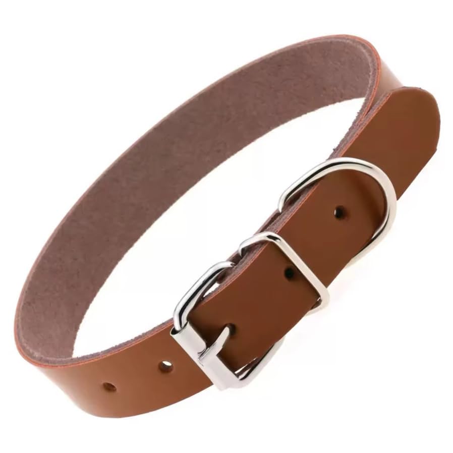 Genuine Leather Dog Collar | Minimalist Adjustable Collar for Dogs | Warewoof House