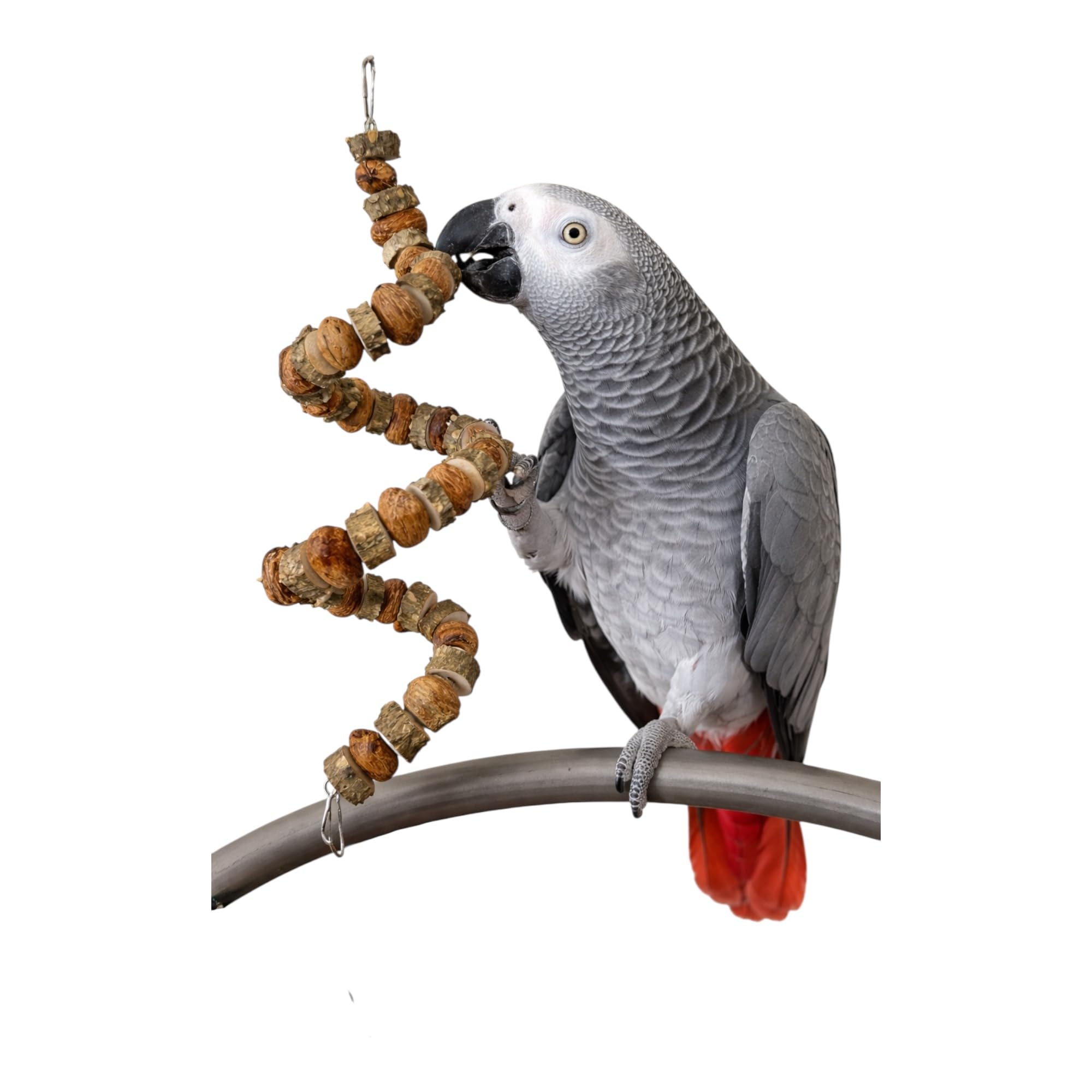 39" Prickly Ash & Mango Wood Bird Toy | Natural Parrot Chew & Enrichment | Warewoof House