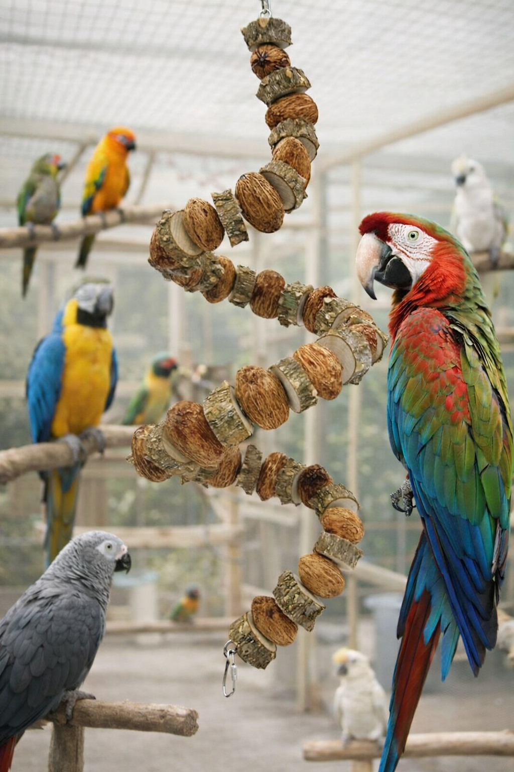 39" Prickly Ash & Mango Wood Bird Toy | Natural Parrot Chew & Enrichment | Warewoof House