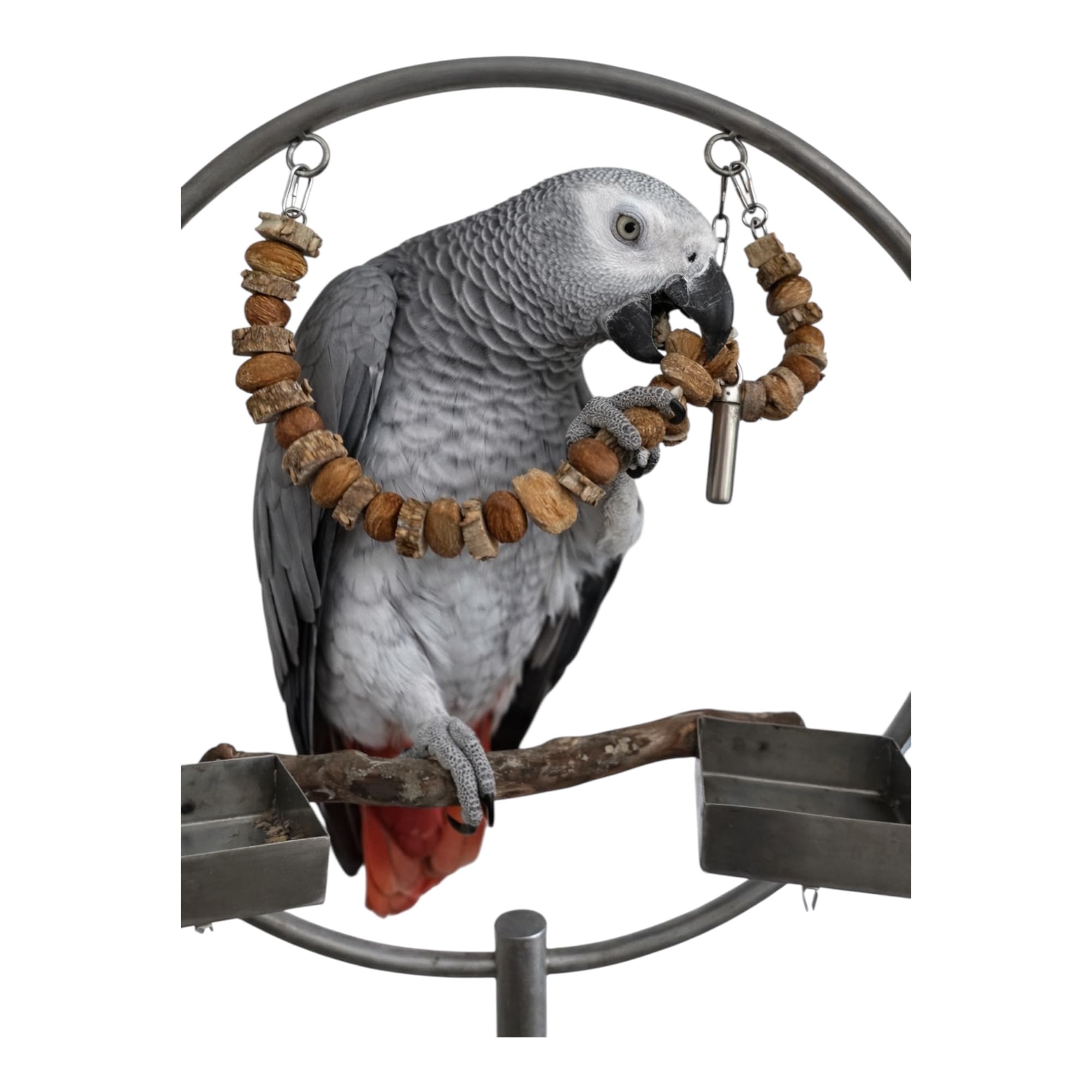 39" Prickly Ash & Mango Wood Bird Toy | Natural Parrot Chew & Enrichment | Warewoof House
