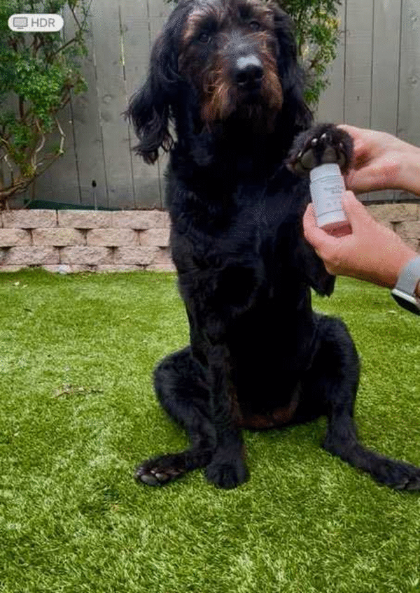 Nose2Toes Balm - Image 8